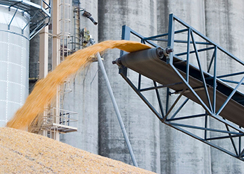 Grain handling