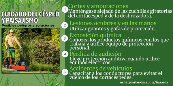 CUIDADO DEL CéSPED Y PAISAJISMO