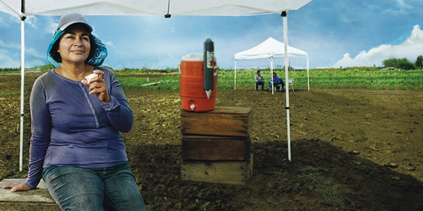 Usted Pregunta... Nosotros Respondemos