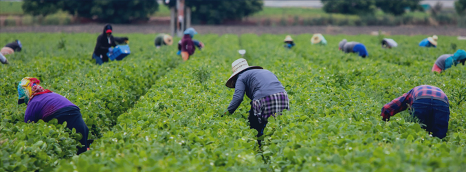 Labor Rights Week / Semana de los derechos laborales