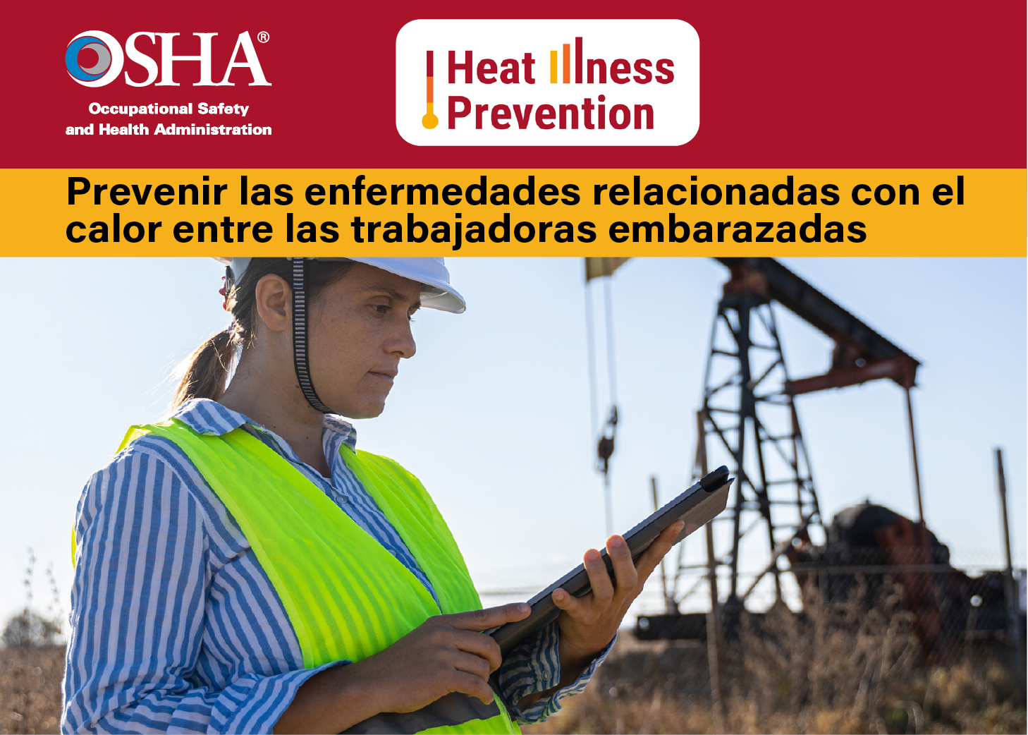 Consulte estos recursos