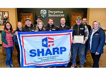 Safety is a Team Effort