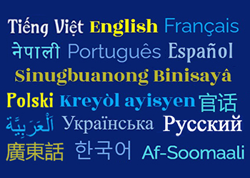 Word cloud of the languages the website can be translated into