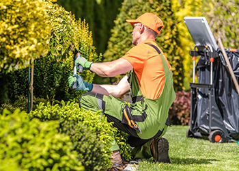 Programa de Énfasis en la Seguridad