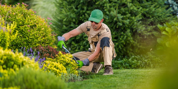 Seguridad en el Paisajismo y el cuidado del