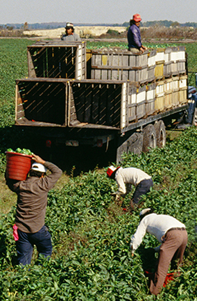 Equal Protection for All / Igualdad de protección para todos