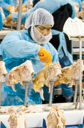 We Need Your Help / Necesitamos su ayuda