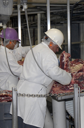 Improving Animal Processing Safety / Mejora de la seguridad en el procesamiento de animales