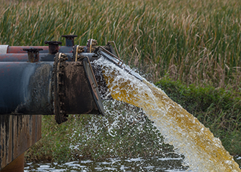 Protección de los denunciantes