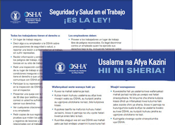 Consulte estos recursos