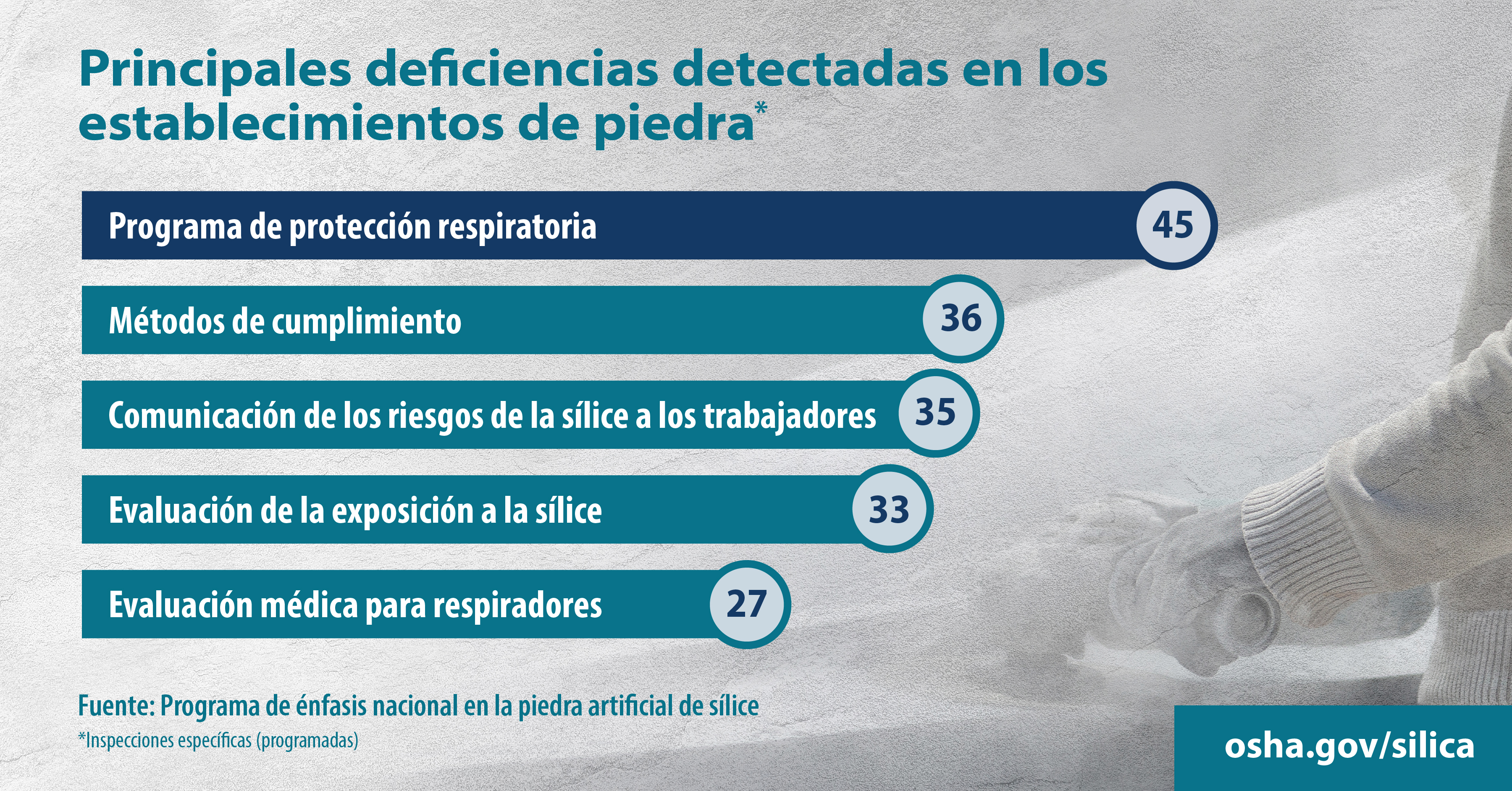 Principales deficiencias detectadas en los establecimientos de piedra*