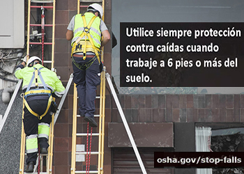Workers wearing fall safety gear while climbing extention ladders. If you're working at 6 feet or higher, you need fall protection.