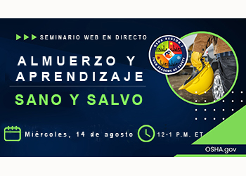 Seminarios web sobre seguridad